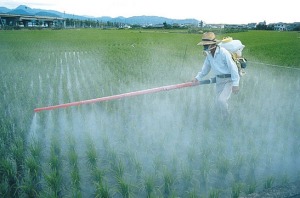 pesticides on food
